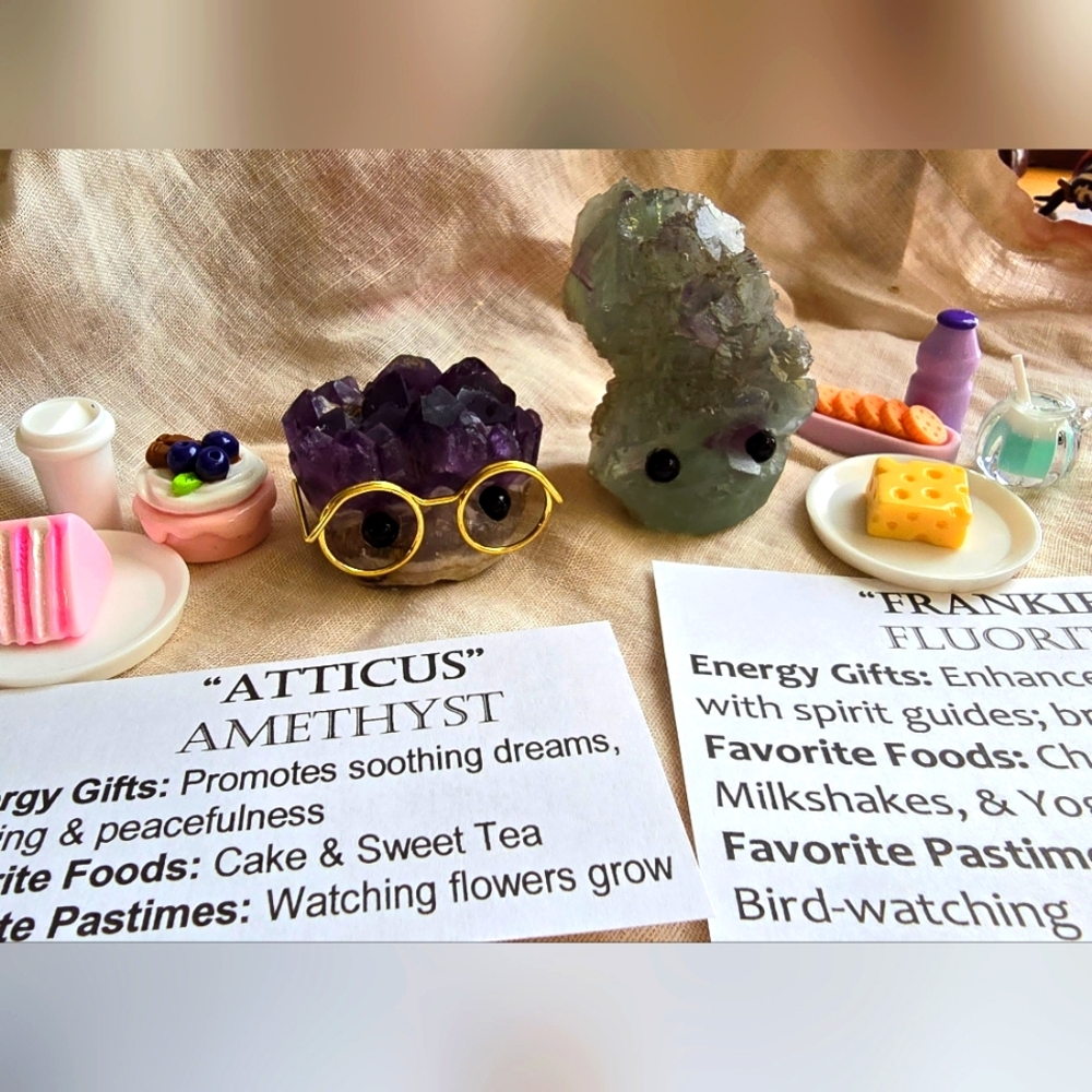 🫶 Pair of Crystal Pets 🔮 🪨 Amethyst and Fluorite 🤩
